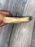 Alaskan Ulu Knife with Bone Handle