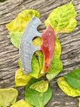 5.5" Handmade Damascus Steel Ulu Chopping Knife