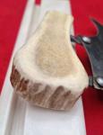 Alaskan 6" ULU Knife with Bone Handle