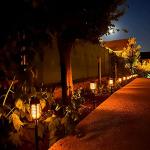 8 Pack Solar Flame Torch Lights for Outdoors
