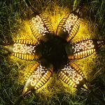 12 Pack Solar Flickering Flame Garden Lights