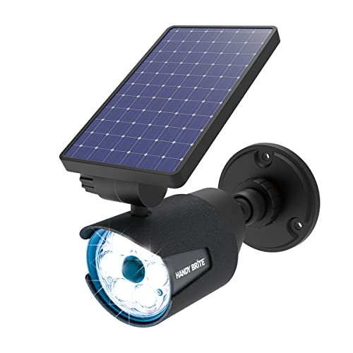 Solar Motion-Activated LED Security Light