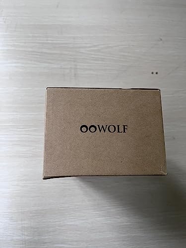 Waterproof Solar Garden Lanterns - 2 Pack