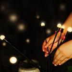 2 Pack Solar Firefly Garden Lights - LED Stake