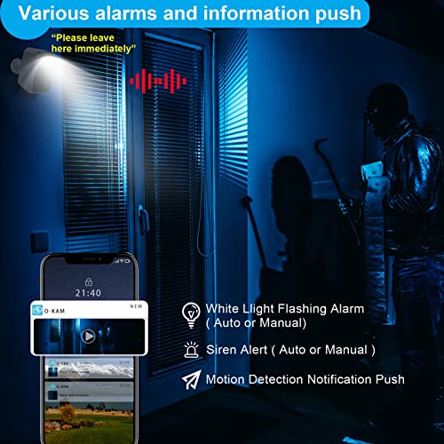 Wireless Solar Security Camera with Night Vision