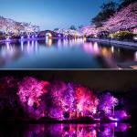 F-TECK 2-in-1 Solar Spotlights with Color Options