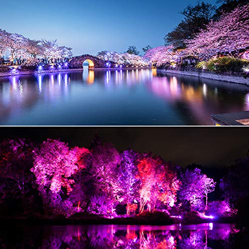 2 Pack Colored Solar Spotlights with Sensor
