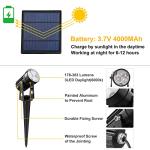 CREPOW 4-in-1 Solar Outdoor Spot Lights