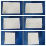 204 LED Solar Mesh Fairy Lights for Gardens