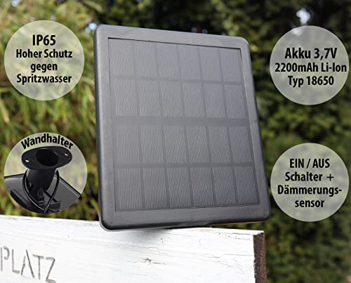 Warm White Solar Garden Spotlight with Twilight Sensor