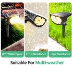 Ecocalta 2-in-1 Waterproof LED Solar Garden Lights