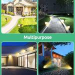 Ecocalta 2-in-1 Waterproof LED Solar Garden Lights