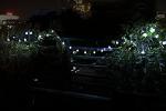 Solar String Lights with Remote Control, 60 LEDs