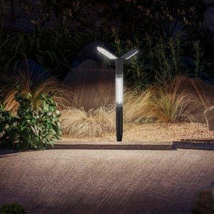 Solar Pathway Lights with Tunable White Options