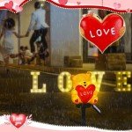 Valentine's Solar Bear with Heart Garden Lights