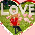 Valentine's Solar Bear with Heart Garden Lights