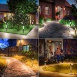 Solar Pathway Lights with Tunable White Options