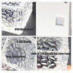 4PCS Solar Garden Lights for Pathway & Pond