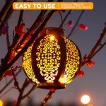 OxyLED Waterproof Solar Lantern for Garden Lighting