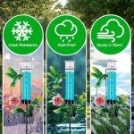 Solar Hummingbird Rain Gauge with LED Lights