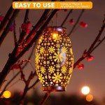 OxyLED Solar Lanterns for Garden Decoration