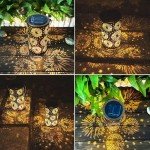 Firework Solar Lanterns for Outdoor Garden Decor