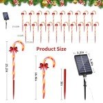 Dimmable Solar Candy Cane Lights with Remote