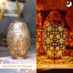 OxyLED Solar Lanterns for Garden Decoration