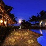 Firework Solar Lanterns for Outdoor Garden Decor