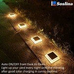 Soslina 4 Pack Solar Garden Path Lights