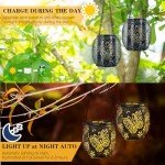 Butterfly Solar Lanterns for Garden - 2 Pack