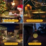 Solar Lanterns for Garden, Patio & Pathway - 2 Pack