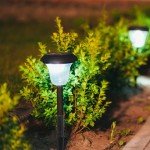 VANZACK Solar Garden Light Plastic Ground Stakes - 10 Pack