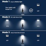 Solar Motion Sensor Garden Lights - 2 Pack