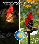 KEAGAN Cardinal Decor Lights Cardinal Solar Garden Decor Cardinal Solar Garden Lights Waterproof Red Bird Figurine Solar Stake Lights for Pathway Yard Patio Lawn Porch Cemetery