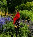 KEAGAN Cardinal Decor Lights Cardinal Solar Garden Decor Cardinal Solar Garden Lights Waterproof Red Bird Figurine Solar Stake Lights for Pathway Yard Patio Lawn Porch Cemetery