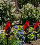 KEAGAN Cardinal Decor Lights Cardinal Solar Garden Decor Cardinal Solar Garden Lights Waterproof Red Bird Figurine Solar Stake Lights for Pathway Yard Patio Lawn Porch Cemetery