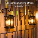 KOOPER Solar Lights Outdoor Garden, 2 Pack Hanging Solar Garden Lanterns with LED Bulds, Waterproof Garden Ornaments Outdoor Lantern Lights Solar Powered for Decoration Yard Pathway Patio