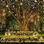 Memorywuu 16 Pieces 13'' Happy New Year Yard Signs with Stakes and 2 Solar String Light New Year Lawn Sign Outdoor Decorations Yard Supplies for Home Garden Party, Black and Gold