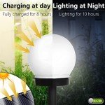 FLOWood Solar Globe Lights Outdoor, 6-Pack
