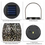 Tomshine Solar Lantern Lights for Outdoor Gardens