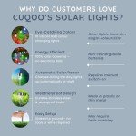 10 Colour Changing Solar Stake Lights - Waterproof Garden Lamps