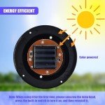 Giant LED Solar Garden Mood Ball Light