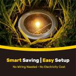 Color-Changing Solar Garden Lights, Pack of 12