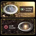 Color-Changing Solar Garden Lights, Pack of 12