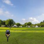 Spooky Skull Solar Halloween Garden Pathway Lights