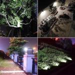 Ousam Solar Spotlight with 16FT Cord, Waterproof