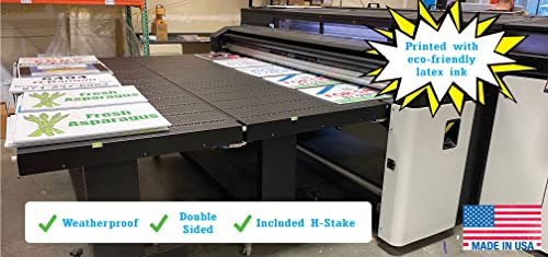 Anyone Under 70 2024 Election Yard Sign