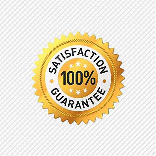 Jesus 2024 Yard Sign with Metal H-Stake