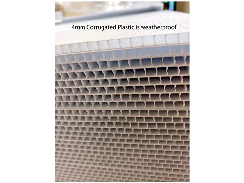 Double-Sided None of the Above Yard Sign